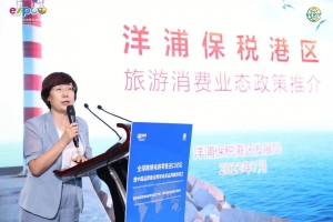 张洪光：洋浦保税港区旅游消费业态政策推介