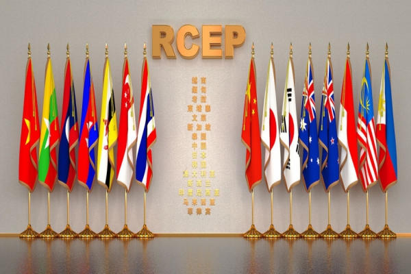 专家：应充分利用RCEP各国产业互补性应对全球经济挑战