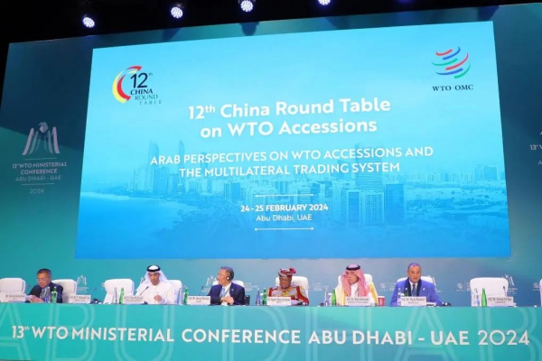 WTO服务贸易国内规制生效意义几何