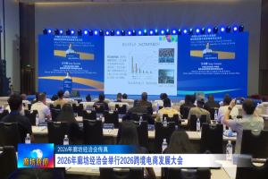 2026跨境电商发展大会在河北廊坊成功举办