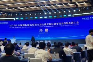 2025年中国国际服务贸易交易会 雄安新区数字贸易创新发展大会成功举办