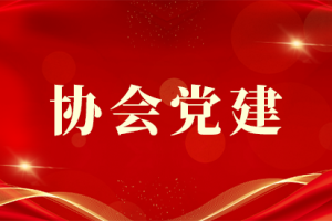 行业协会商会等社会组织领域负责人任职管理、名誉职务设立不规范典型案例